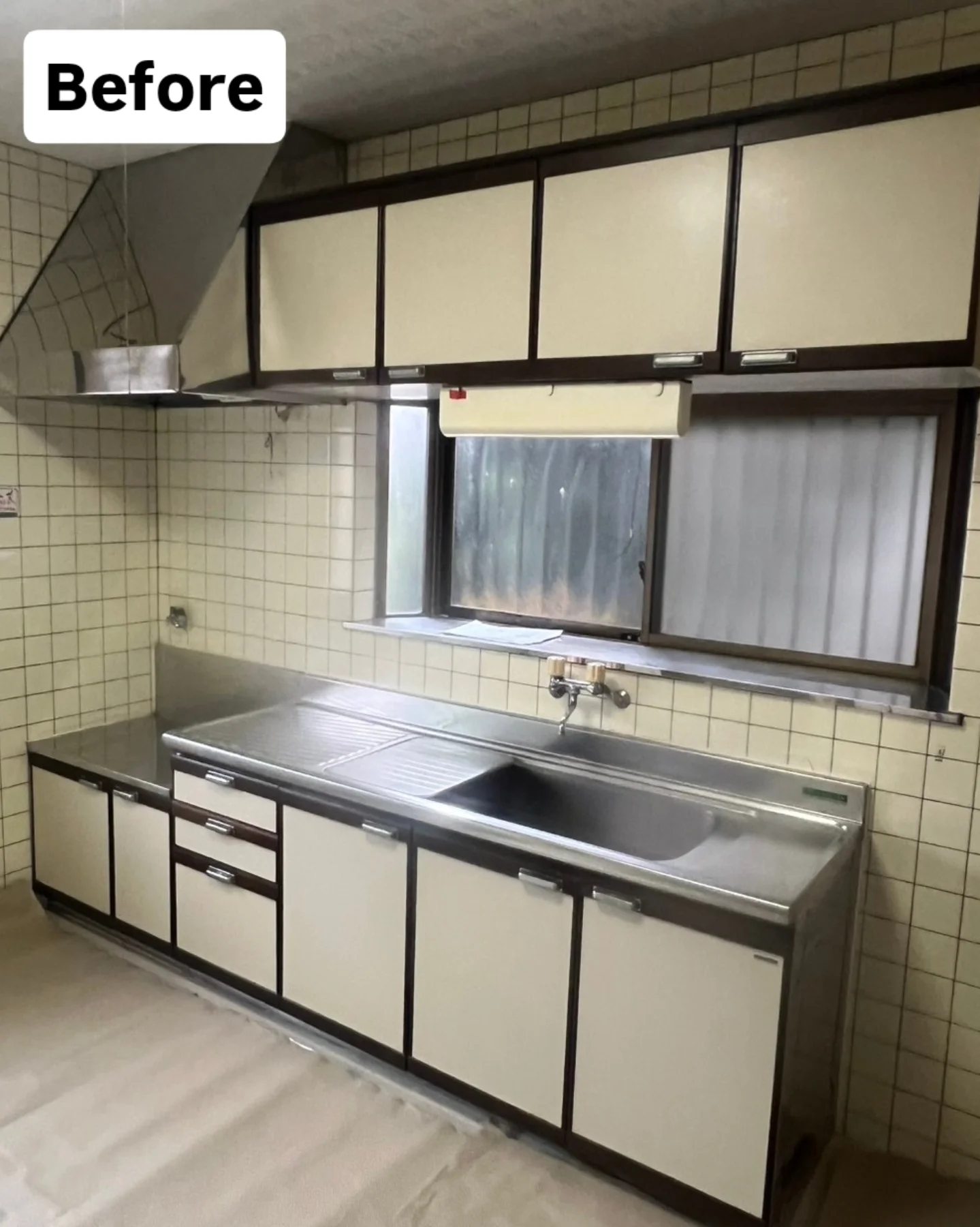 img_20260123_115526_566